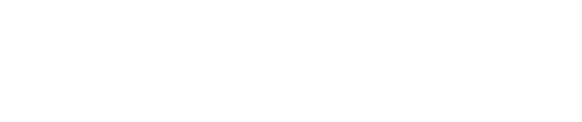 Asteia Seguridad